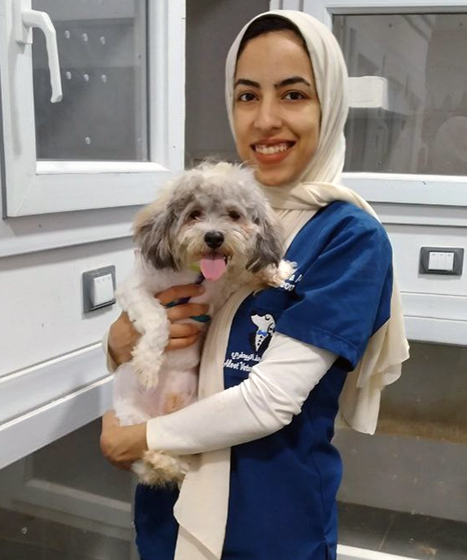 DVM. Marwa Ali